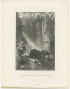 Antique Print of a Waterfall Near Mount Wellington, Tasmania, Australia