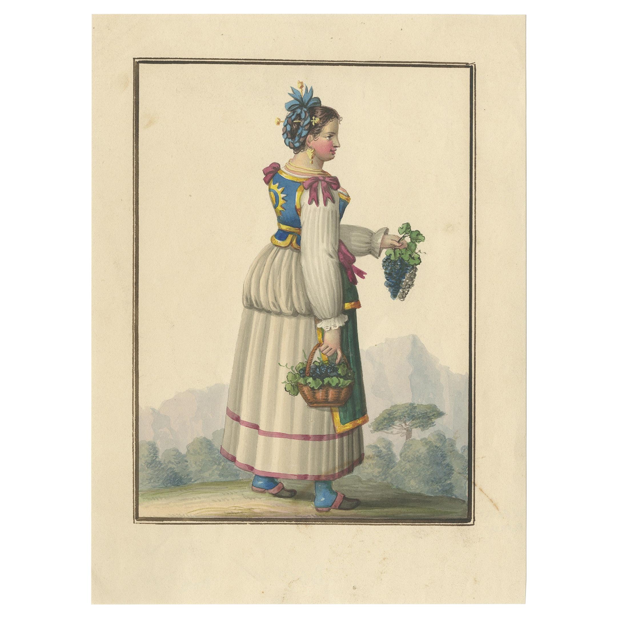 Antique Print of a Woman Harvesting Grapes 'circa 1880' For Sale