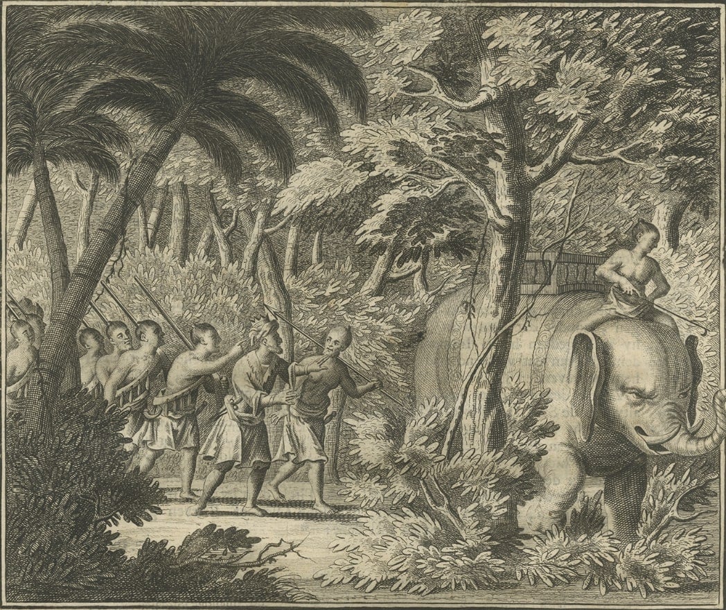 Impression ancienne d'une armée dans les bois, chevauchant un éléphant à Ceylan, 1726 en vente