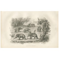 Antique Print of an Elephant Hunt by D'Urville (1853)