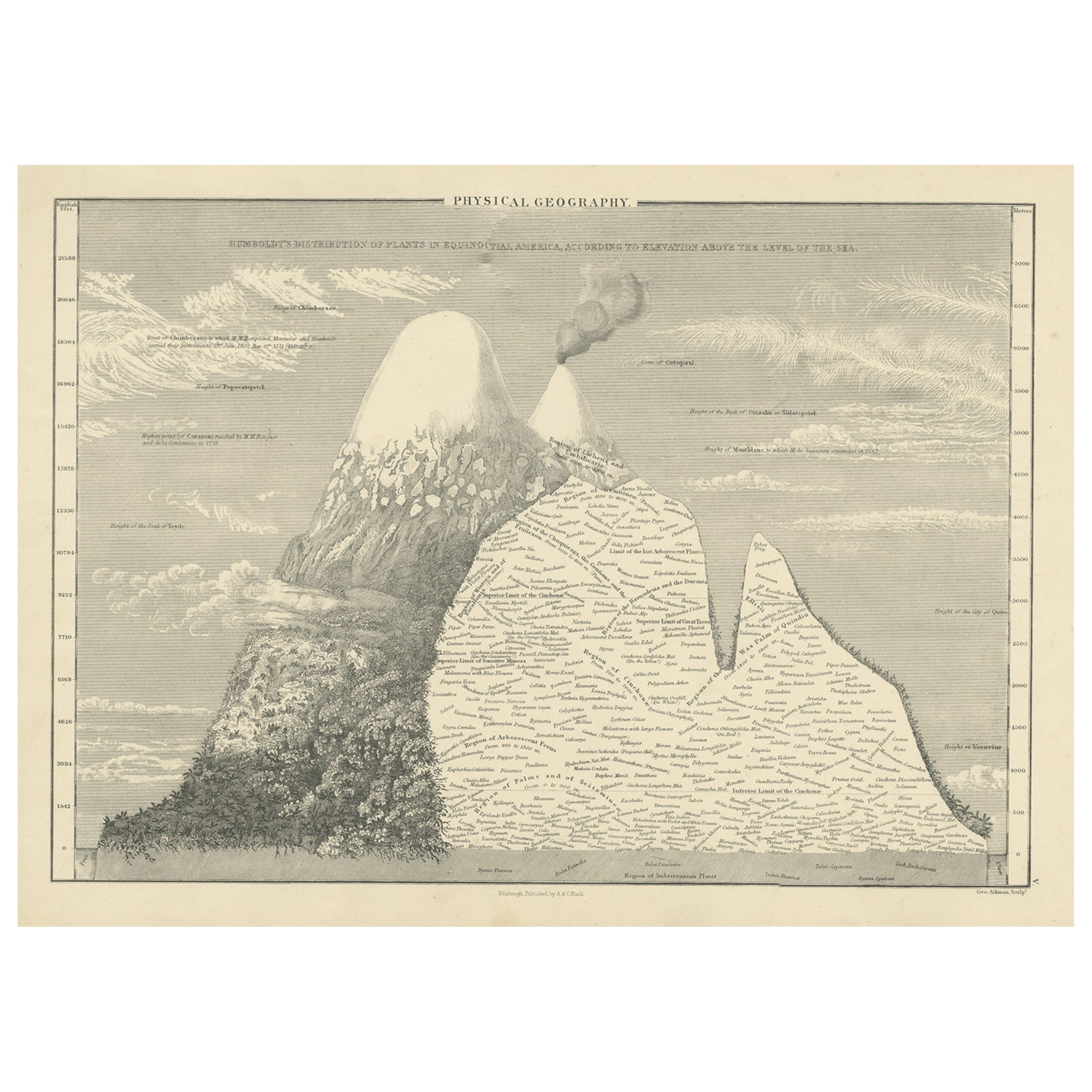 Grabado antiguo de un perfil de elevación cerca del Ecuador, 1854 en venta
