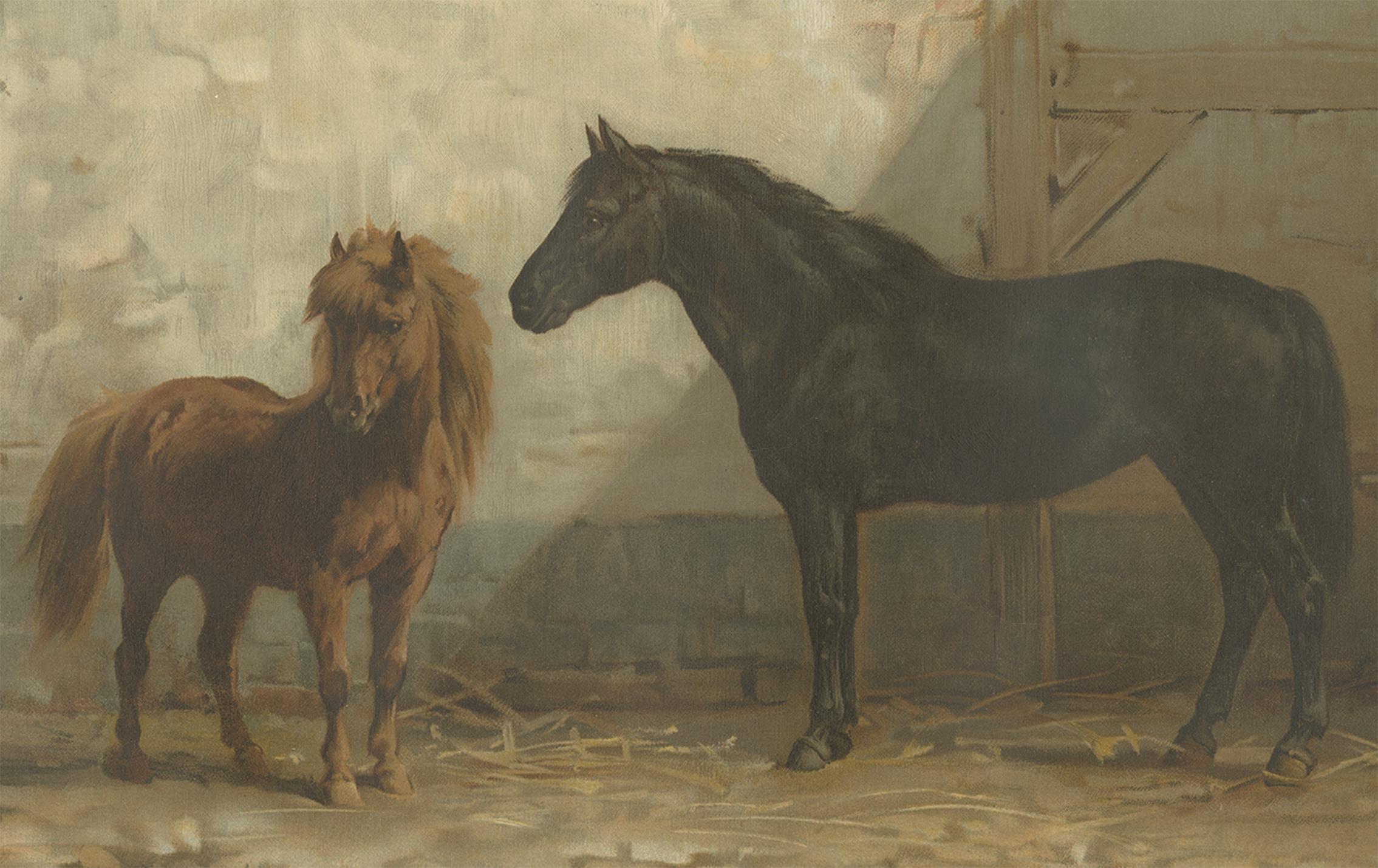 19th Century Antique Print of an English and French Pony by O. Eerelman, 1898 For Sale