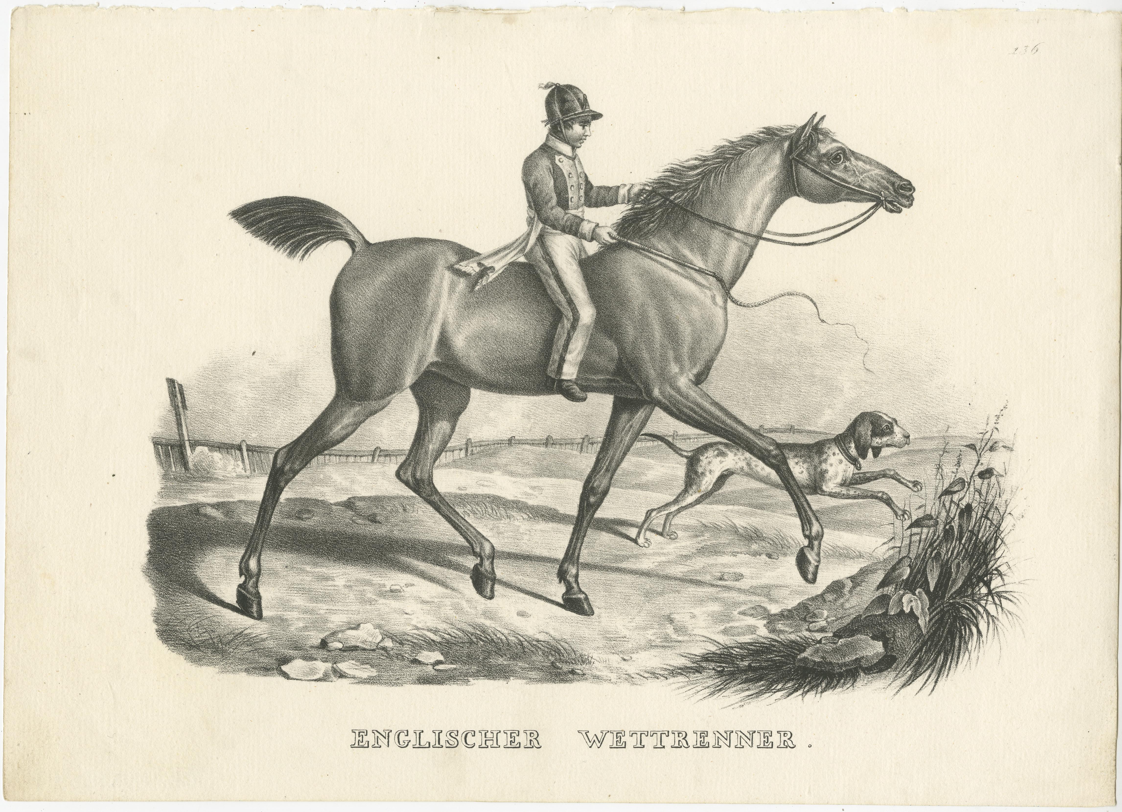 Antique print titled 'Englischer Wettrenner'. Original old lithograph of an English horse. This print originates from 'Naturgeschichte und Abbildungen der Säugethiere: nach den neuesten Systemen zum gemeinnutzigen Gebrauche entworfen, und mit