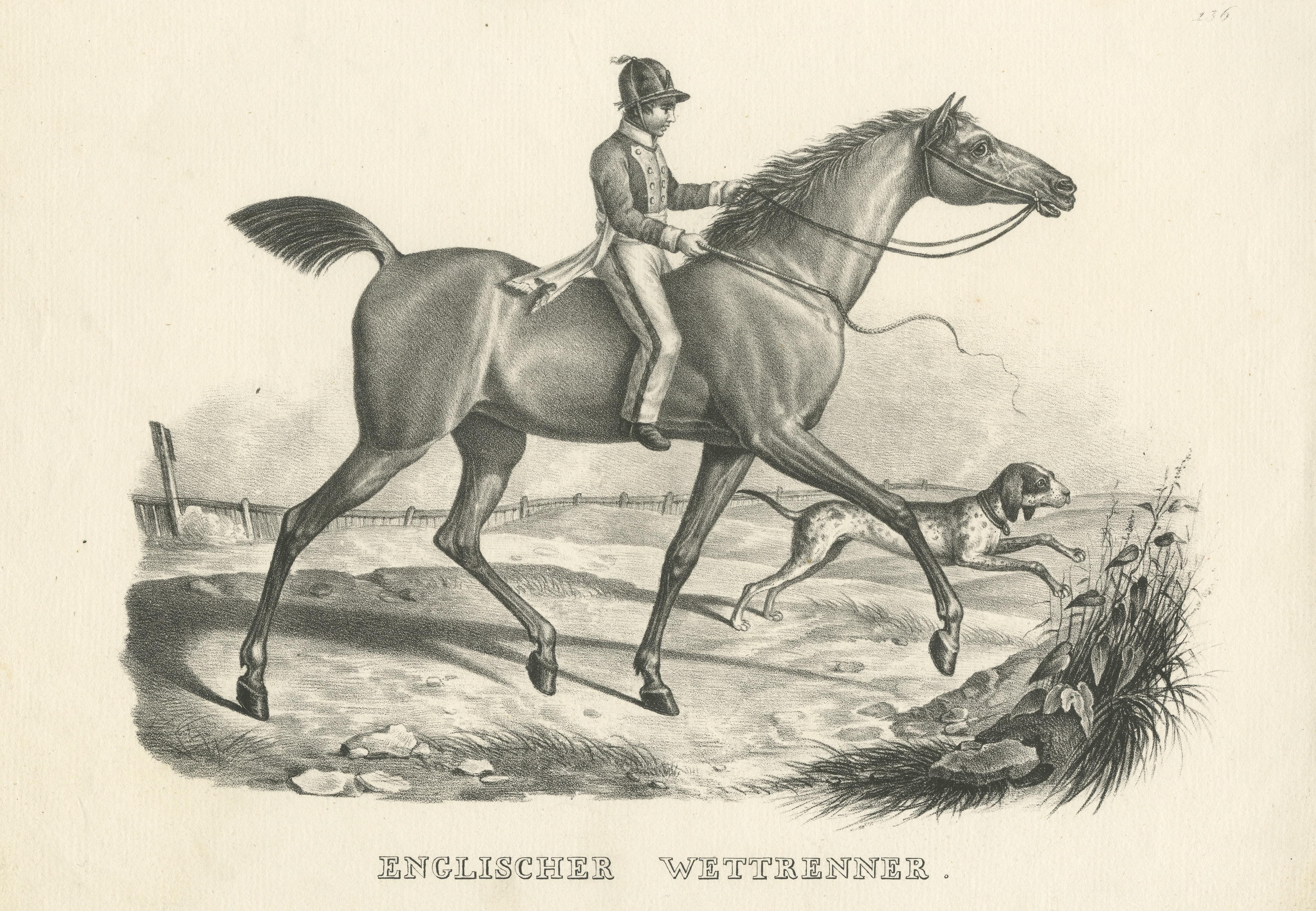 Impression ancienne d'un cheval anglais Bon état - En vente à Langweer, NL