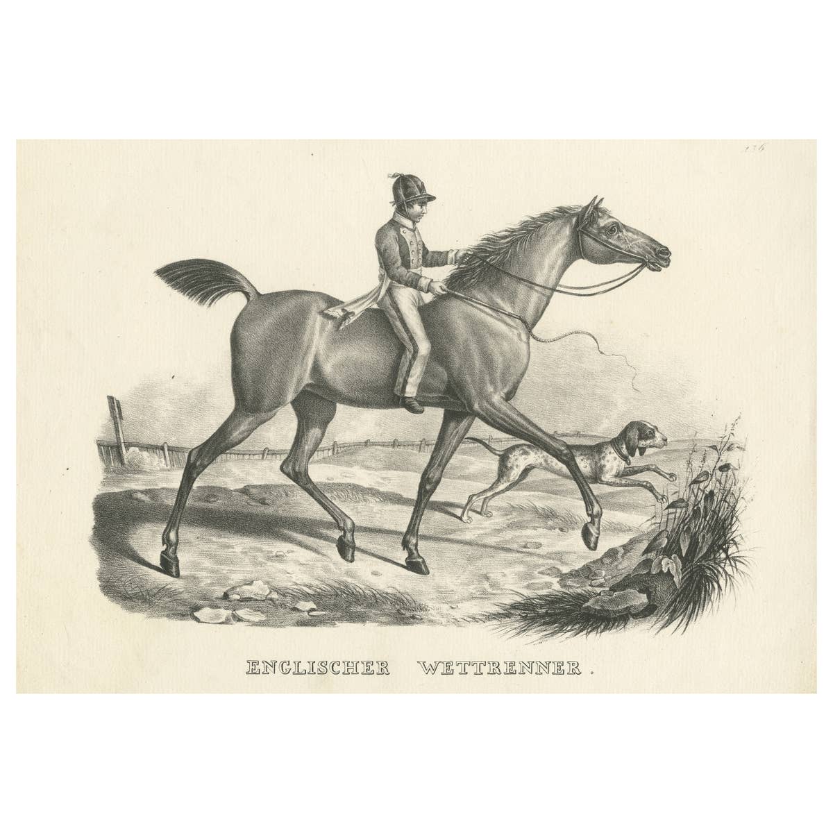 Mid-18th Century Lithograph of English Racehorse Antique Print