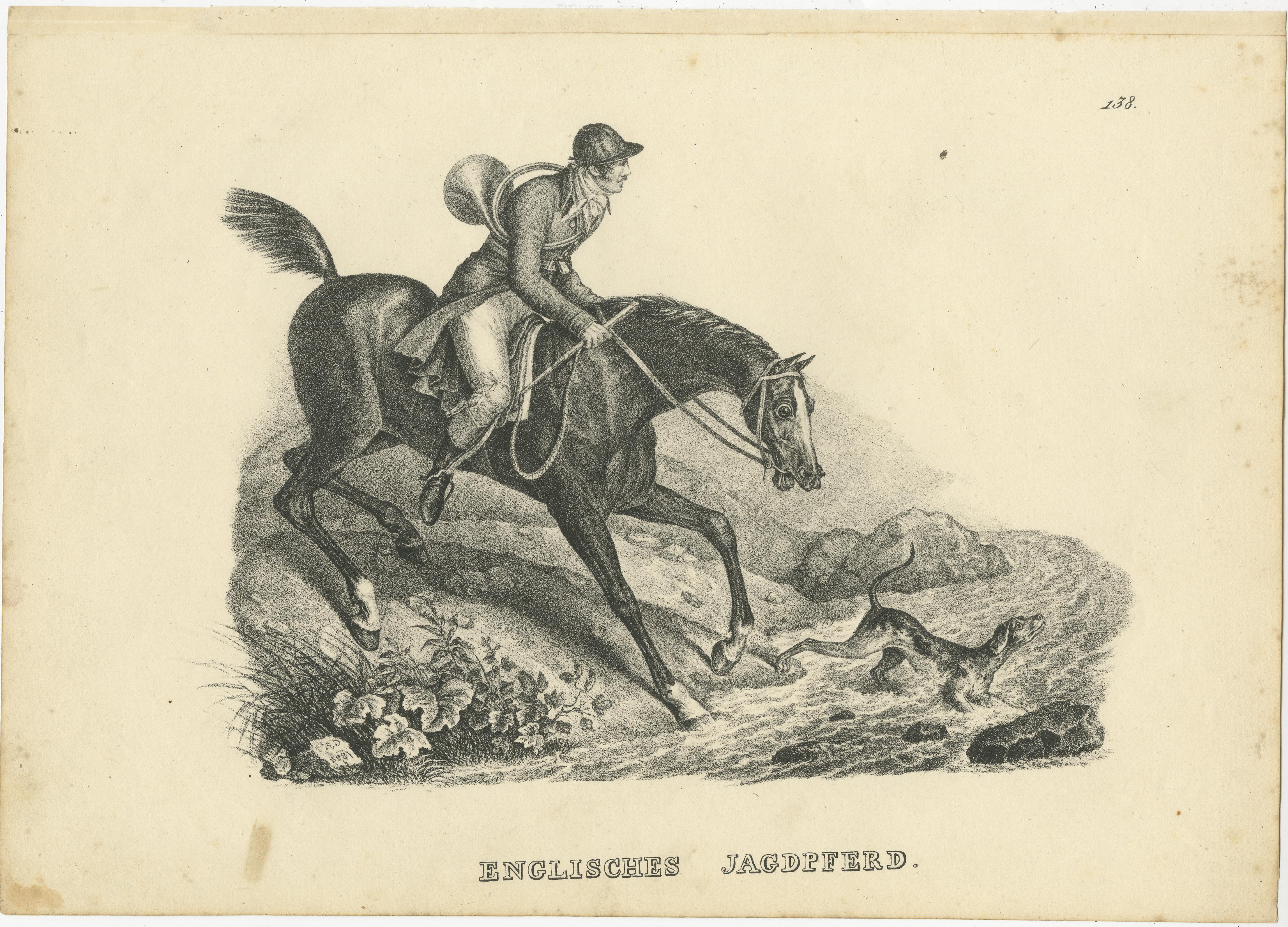 Antique print titled 'Englisches Jagdpferd'. Lithograph of an English hunting horse by Karl Joseph Brodtmann (1787-1862), one of the most accomplished lithographers of the early-nineteenth century. Born in the city of Überlingen near the
