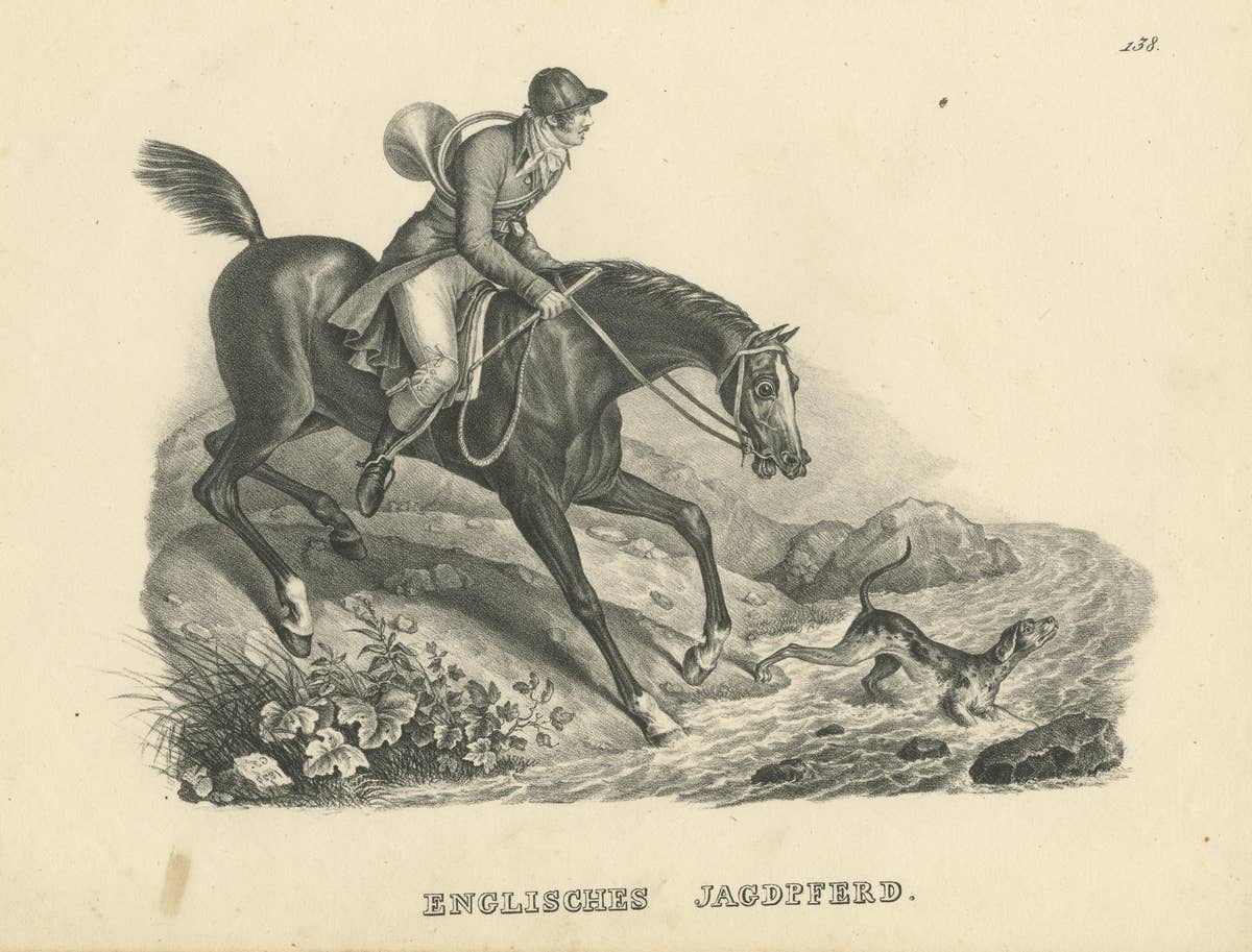 Antique Print of an English Hunting Horse