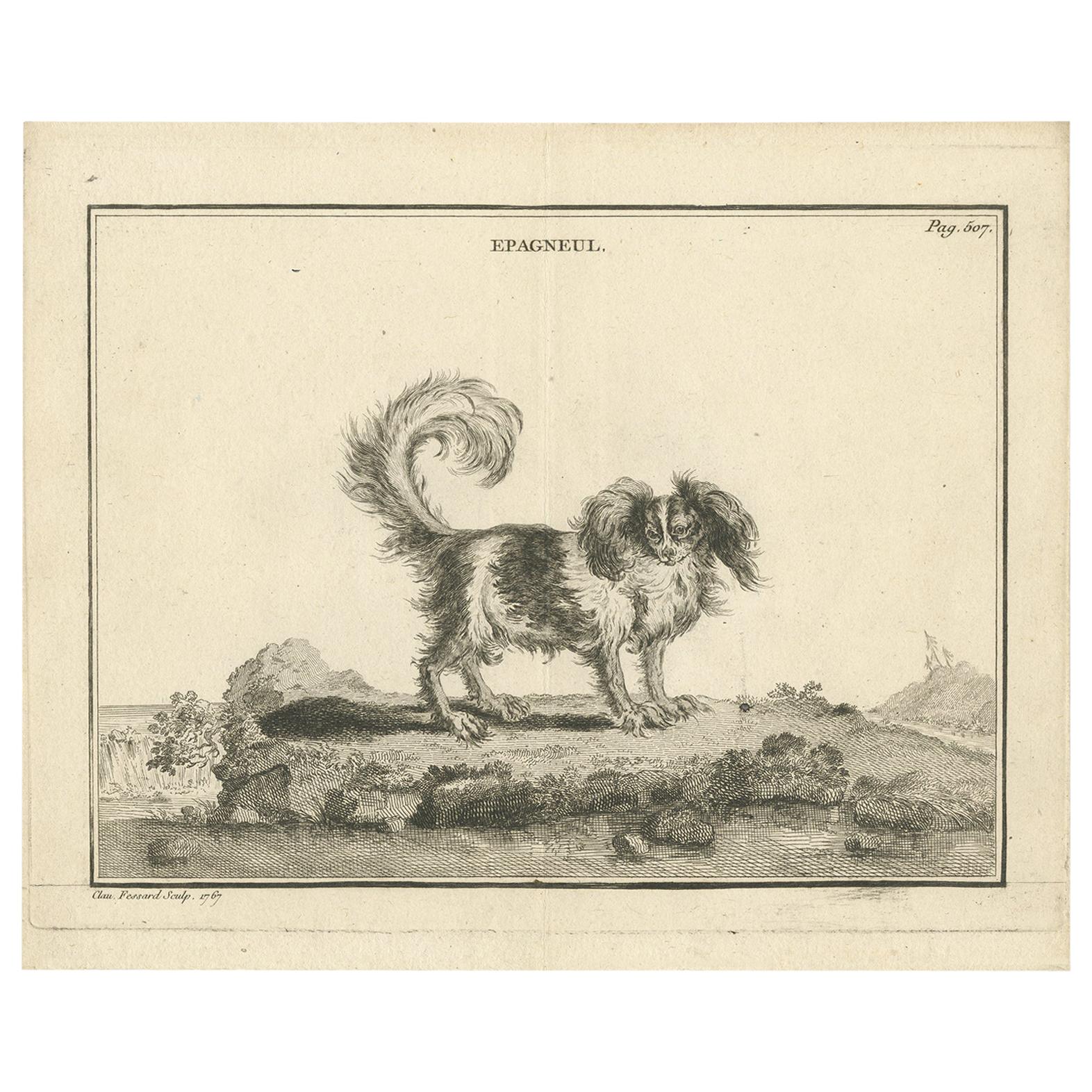 Antique Print of an 'Epagneul' Dog by Fessard, 1819