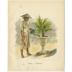 Vintage Print of Indonesian Gardner, 1909