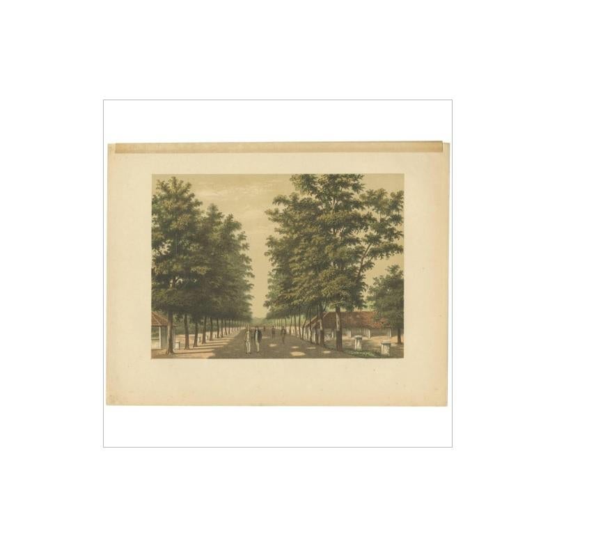Stampa antica di Avenue Paja Koembah 'Sumatra' di M.T.H. Perelaer, 1888 In condizioni buone in vendita a Langweer, NL