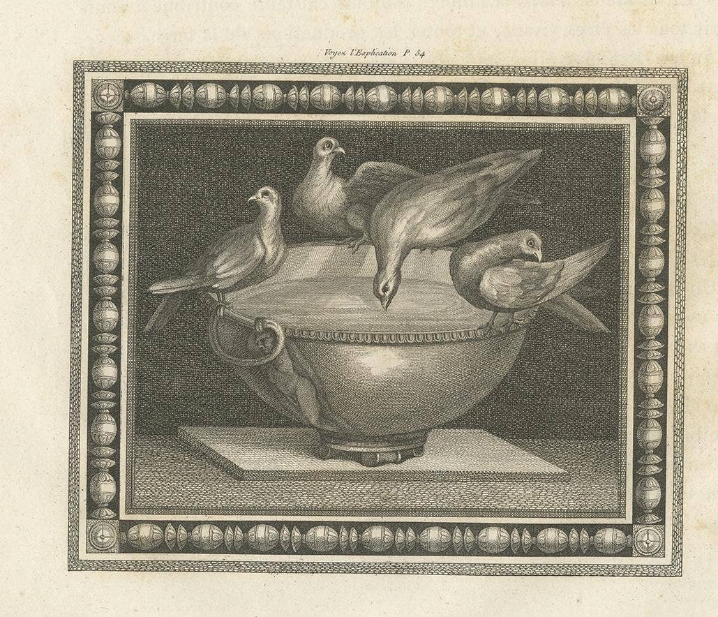 Antique Print of Birds and a Birdbath, circa 1820