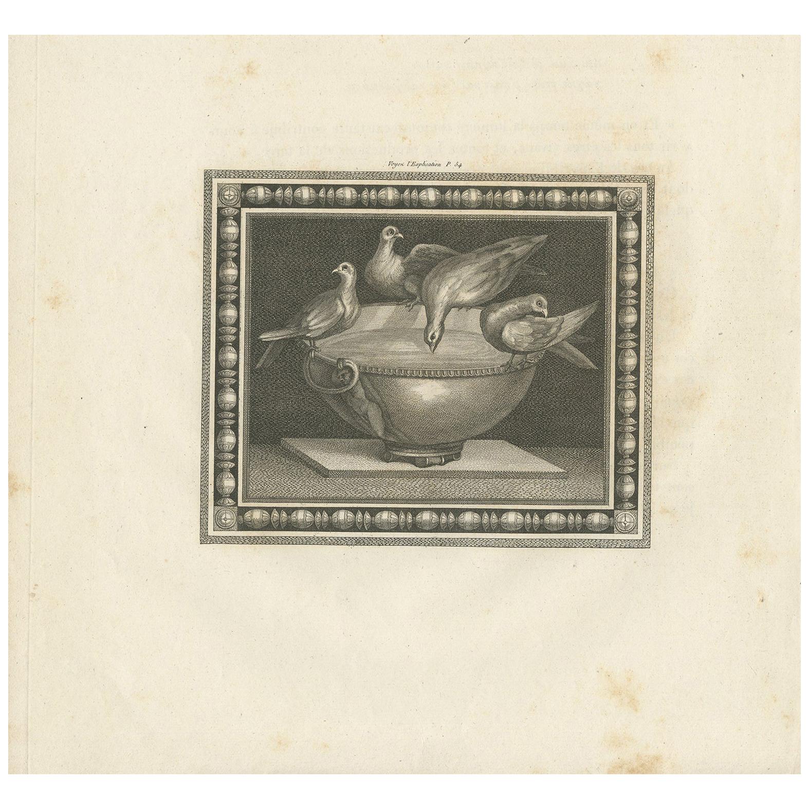 Antique Print of Birds and a Birdbath 'circa 1820'