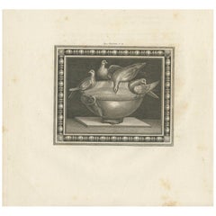 Estampa antigua de pájaros y un baño para pájaros 'circa 1820'