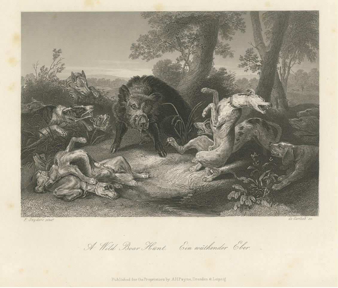 Antique print titled 'A Wild Boar Hunt - Ein wüthender Eber'. Lithograph of boar hunting. Published by A.H. Payne, circa 1850.
