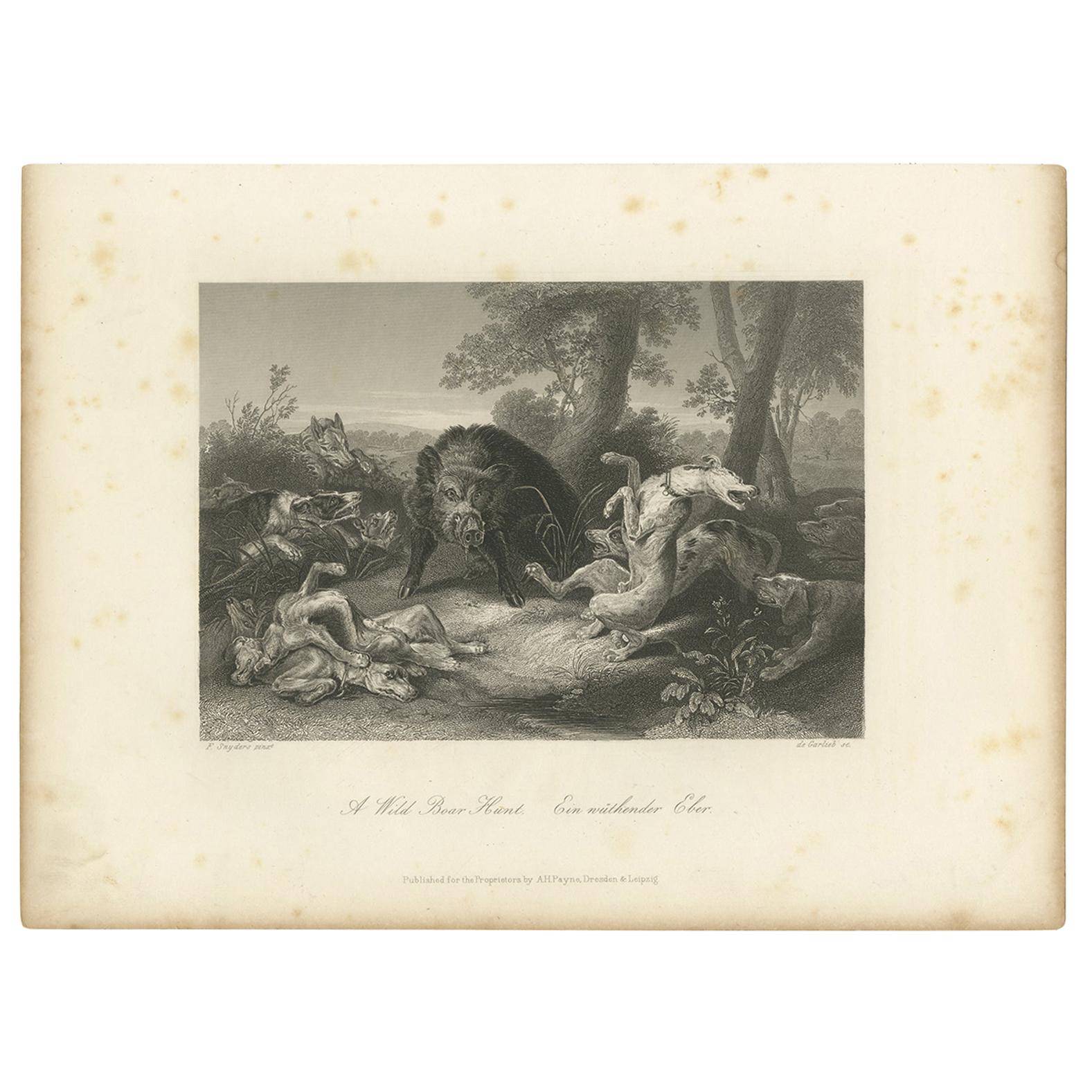 Antique Print of Boar Hunting by Payne, circa 1850