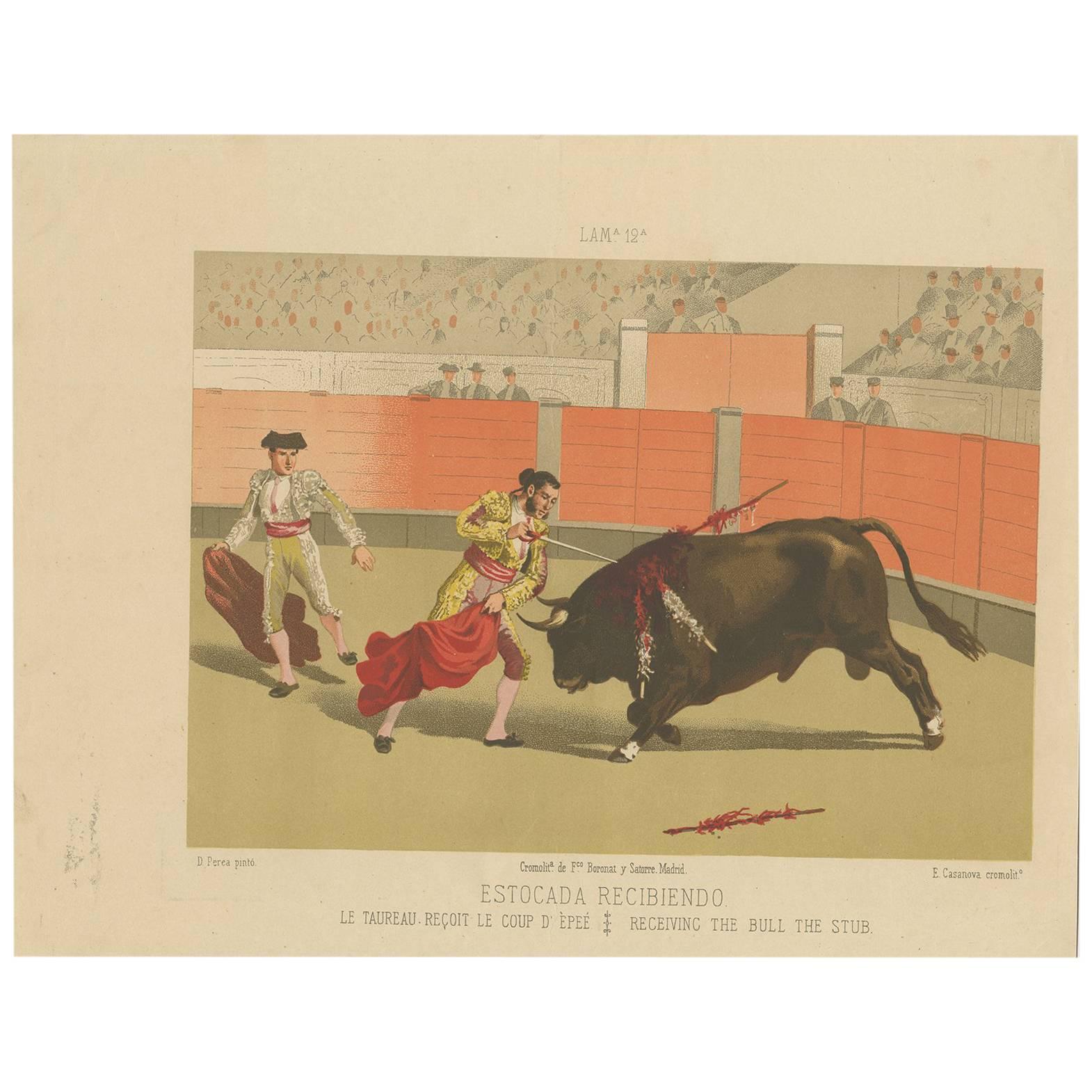 Antique Print of Bull-Fighting 'Spain' by E. Casanova, circa 1890 For Sale