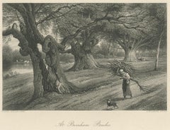 Antique Print of Burnham Beeches by Appleton, circa 1875