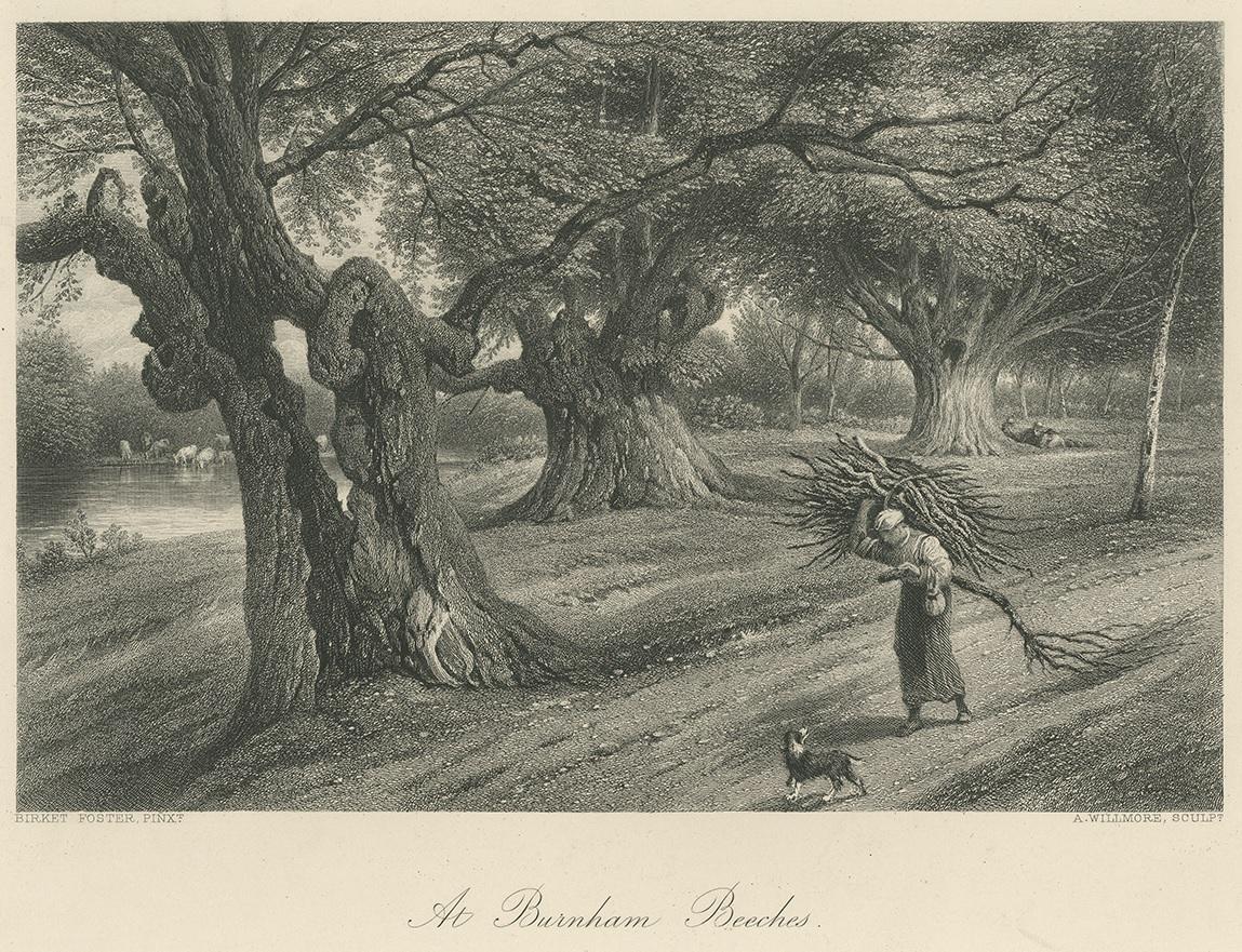 Antique Print of Burnham Beeches by Appleton, circa 1875 In Good Condition For Sale In Langweer, NL