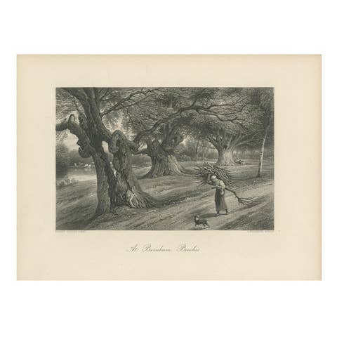 Antique Print of Burnham Beeches by Appleton, circa 1875