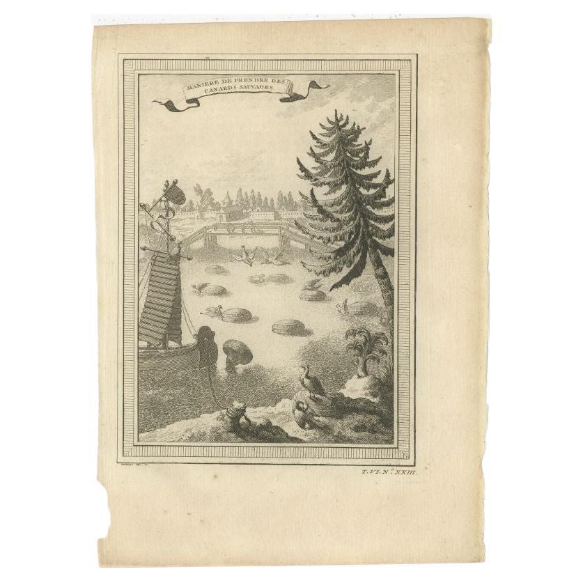 Antique Print of Catching Wild Ducks in China, 1748 For Sale