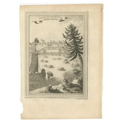 Antique Print of Catching Wild Ducks in China, 1748
