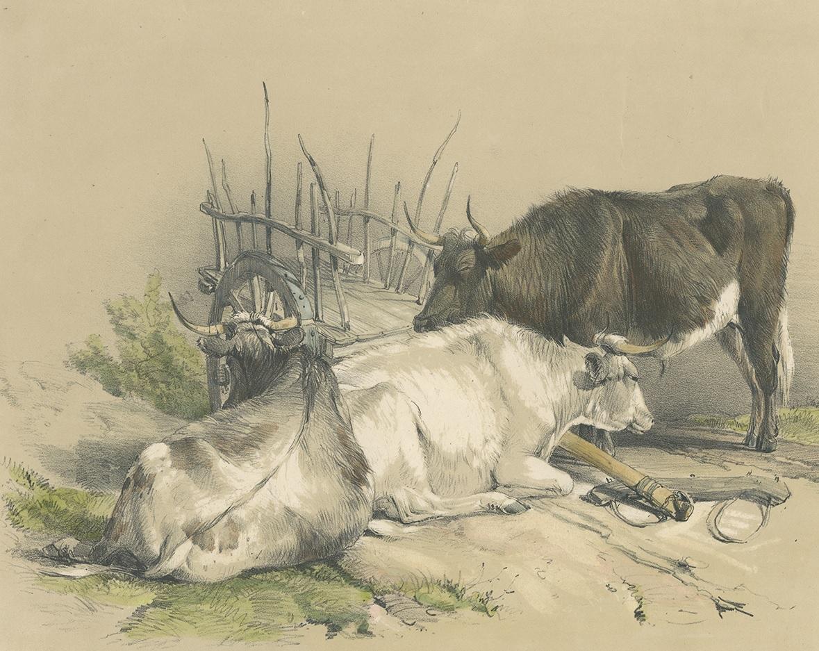 Antique Print of Cattle and a Cart by Ducôte, circa 1840 In Good Condition For Sale In Langweer, NL