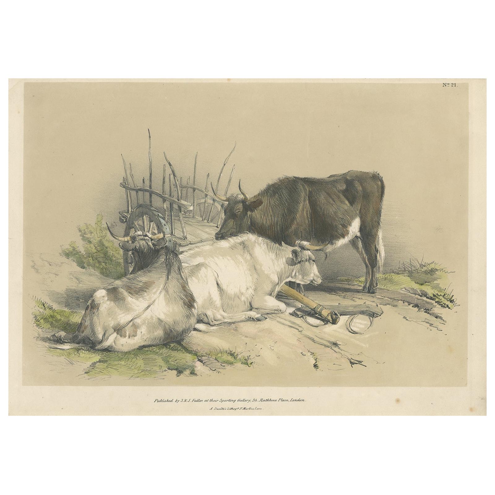 Antique Print of Cattle and a Cart by Ducôte, circa 1840