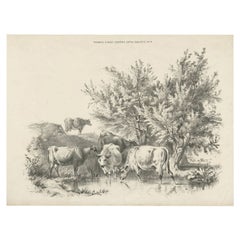 Impression ancienne de la bouteille par Cooper, 1839