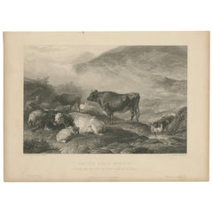 Antiker Druck von „Cattle in the Morning“ von Brandard, um 1850