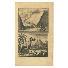 Grabado antiguo del Valle de la Iglesia en la isla de Santa Elena y una escena de caza