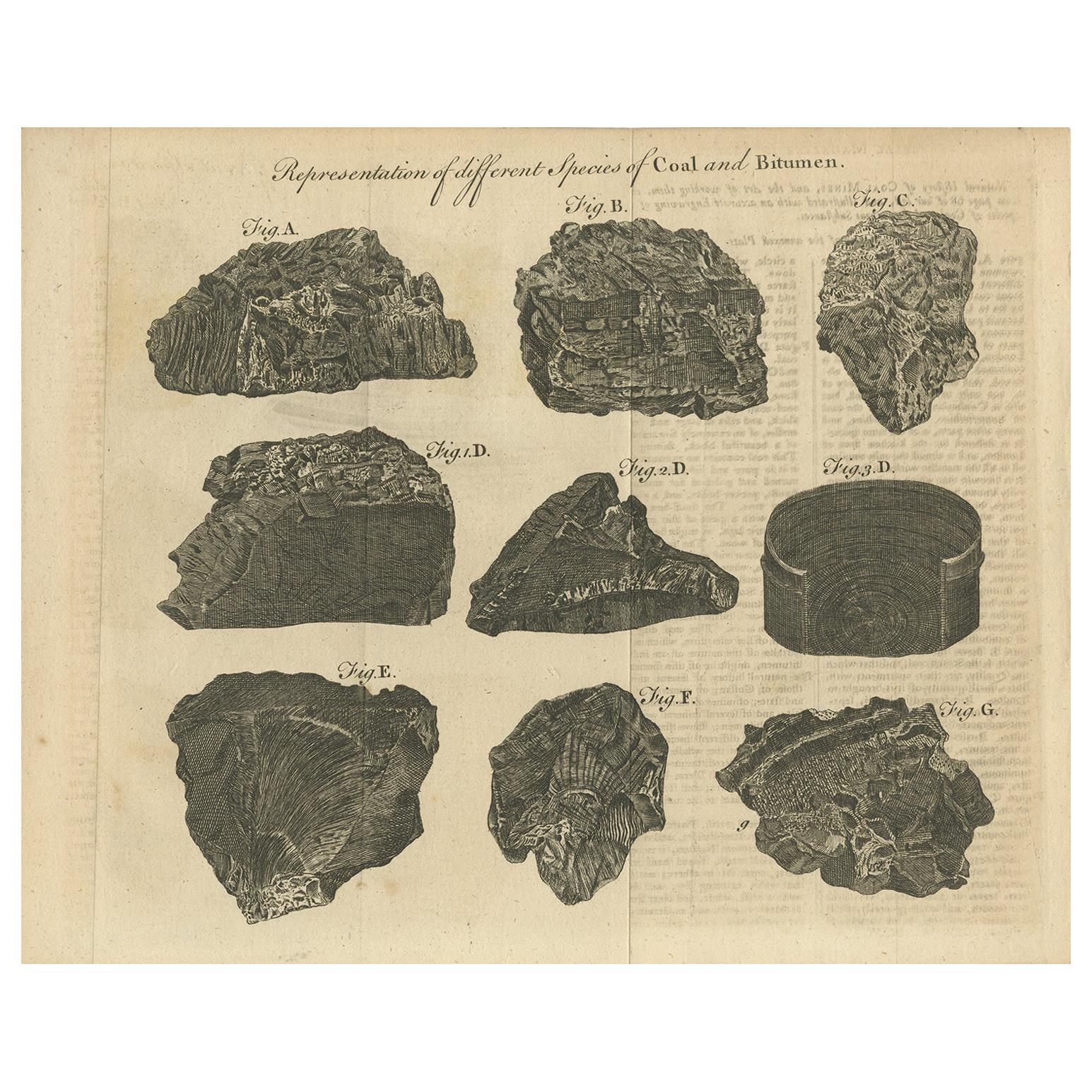 Antique Print of Coal and Bitumen,  '1769'