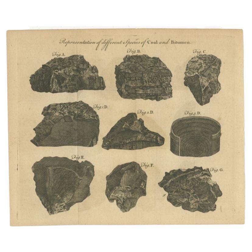 Antique Print of Coal and Bitumen, 1769 For Sale