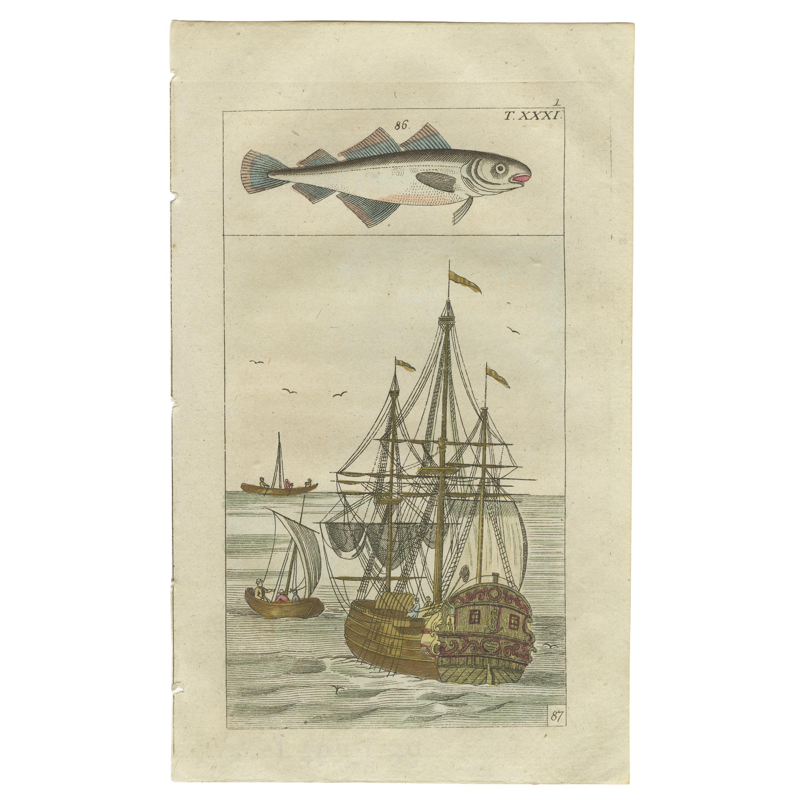 Antique Print of Cod and a Cod Fishing Ship For Sale