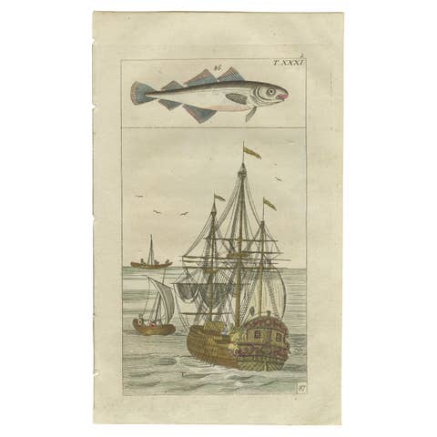 Antique Print of Cod and a Cod Fishing Ship