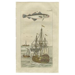 Antique Print of Cod and a Cod Fishing Ship