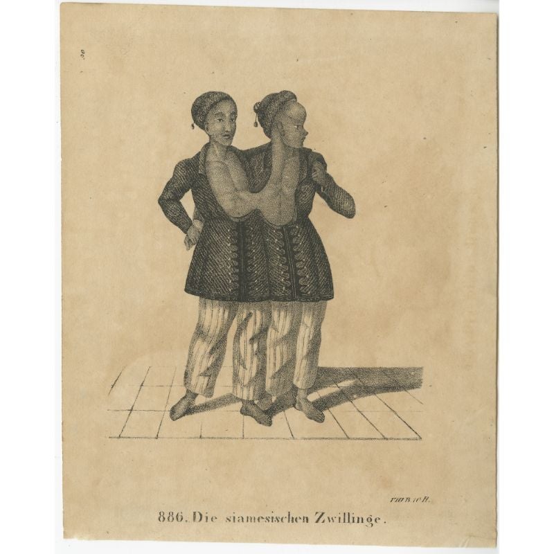 Antique print titled 'Die siamesischen Zwillinge'. Old print of Chang and Eng Bunker, conjoined twins (siamese twins). Source unknown, to be determined. 

Artists and Engravers: Anonymous.

Condition: Good, age-related toning. Minor wear, blank