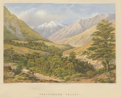 Antique Print of Craigieburn Valley 'New Zealand' by Walker, circa 1877