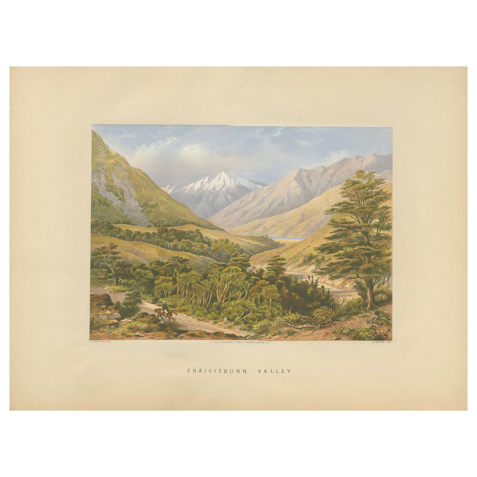Impression ancienne de la vallée de Craigieburn « Nouvelle-Zélande » par Walker, datant d'environ 1877