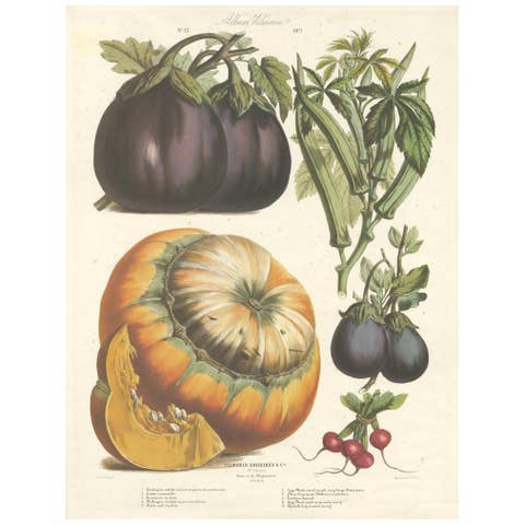 Antique Print of Eggplant, Okra, Squash and Radish by Faguet, 1871