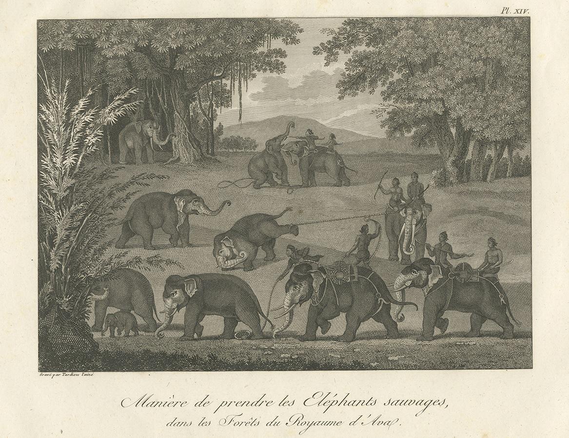 Antique print titled 'Manière de prendre les Eléphants sauvages dans les Forêts du Royaume d'Ava'. Print of catching elephants in the Kingdom of Ava, Burma. This print originates from 'Relation de l'Ambassade Anglaise, envoyée en 1795 dans le