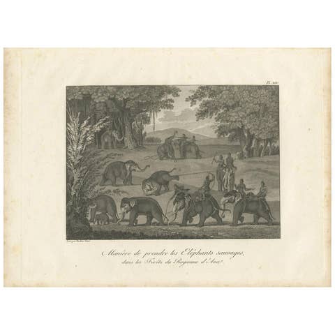 Antique Print of Elephants in the Kingdom of Ava by Symes '1800'