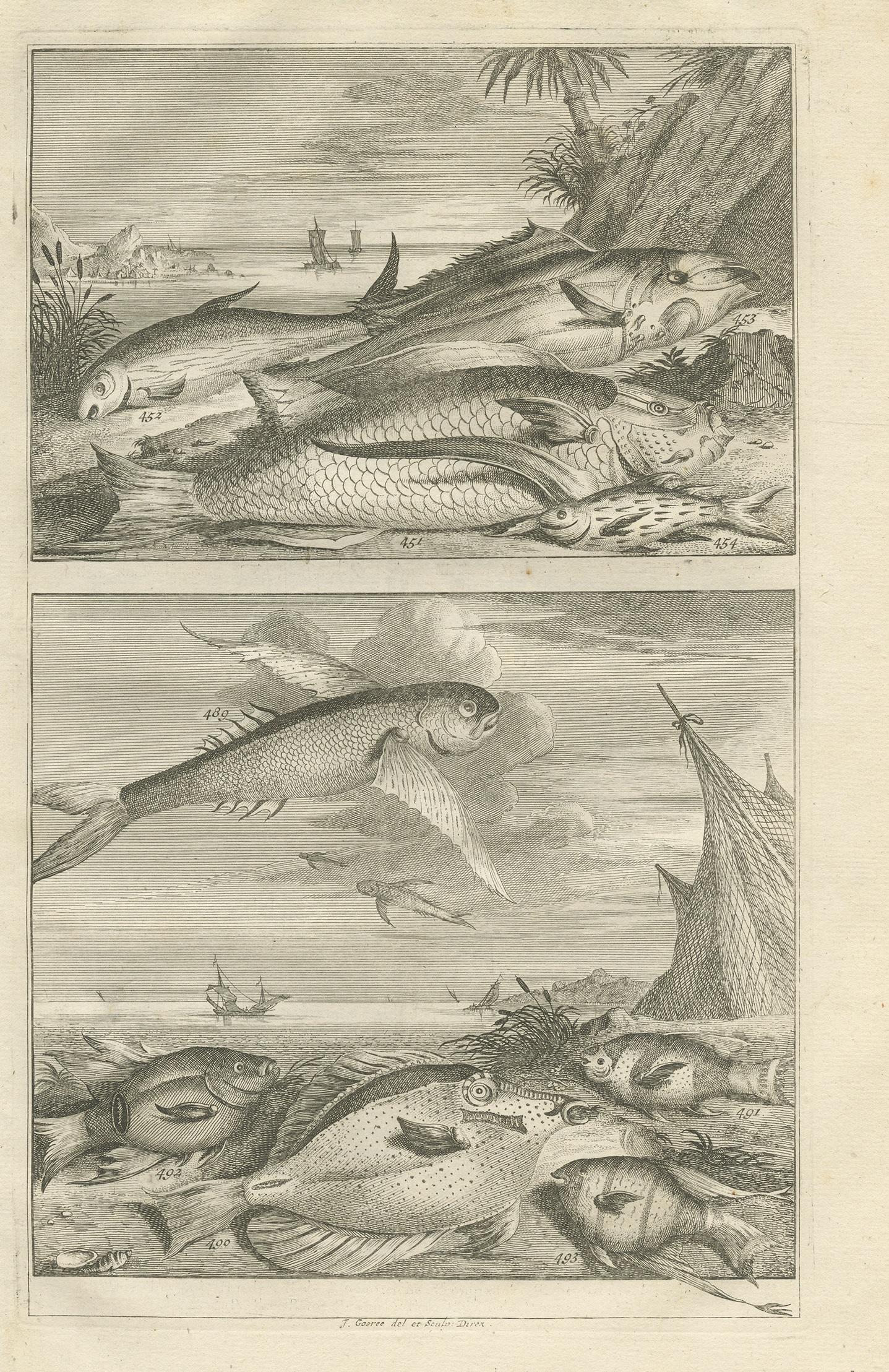Untitled print of various fish species from Indonesia. This print originates from 'Oud en Nieuw Oost-Indiën' by F. Valentijn.