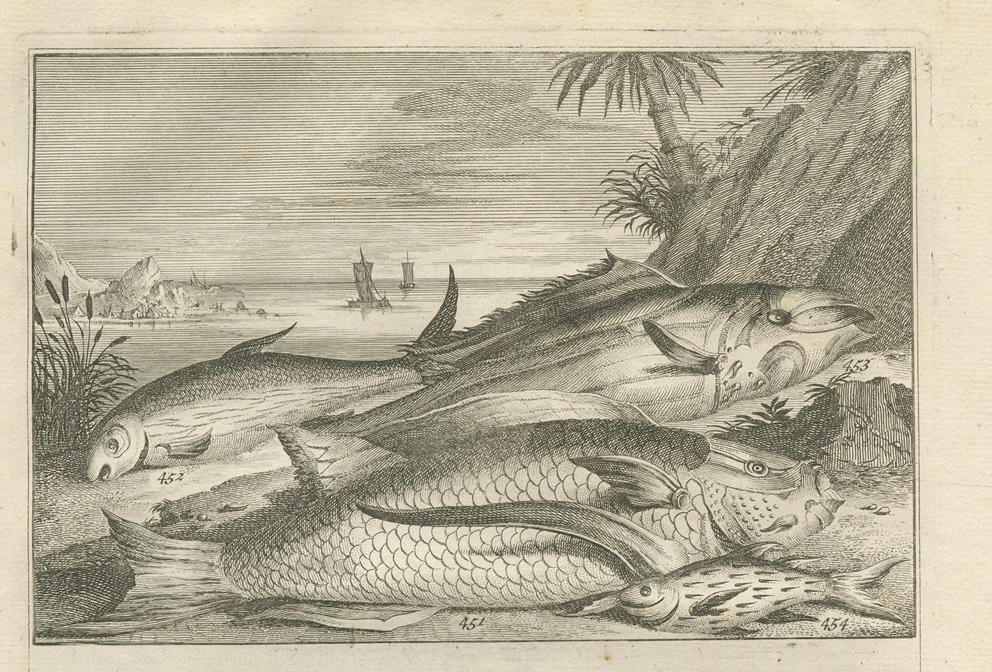 Antiker antiker Druck von Fischexemplaren „Nr. 451“ von Valentijn, 1726 (Niederländisch) im Angebot