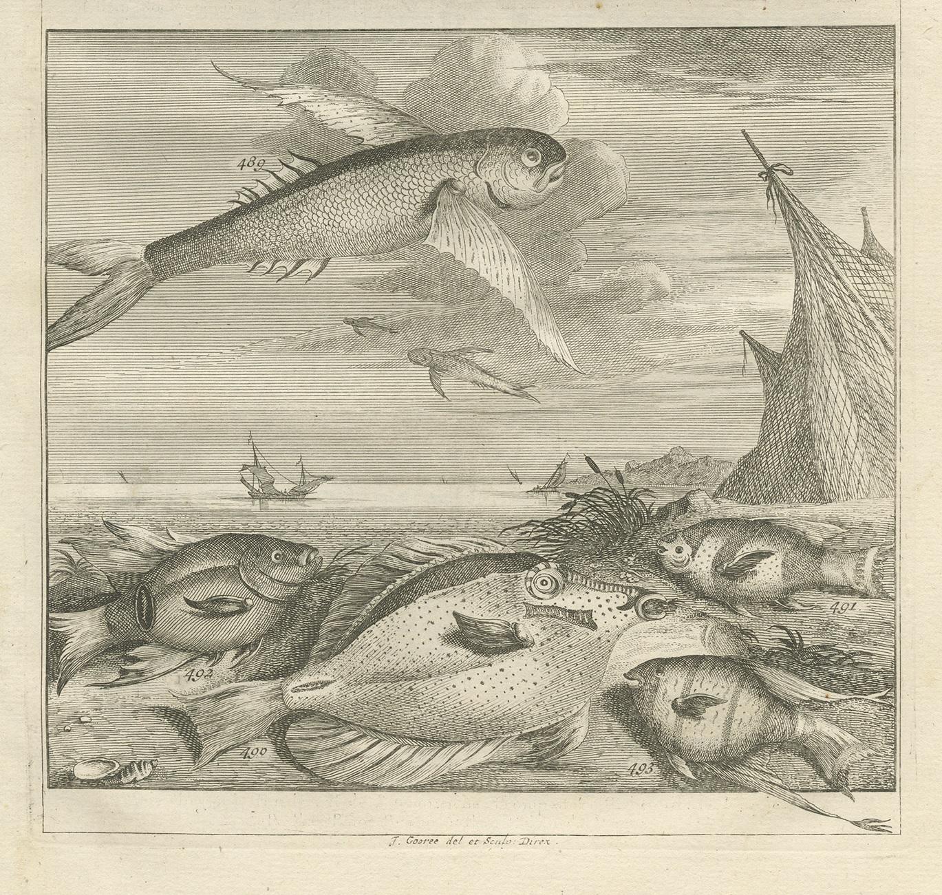 Impression ancienne de spécimens de poissons « N° 451 » par Valentijn, 1726 Bon état - En vente à Langweer, NL