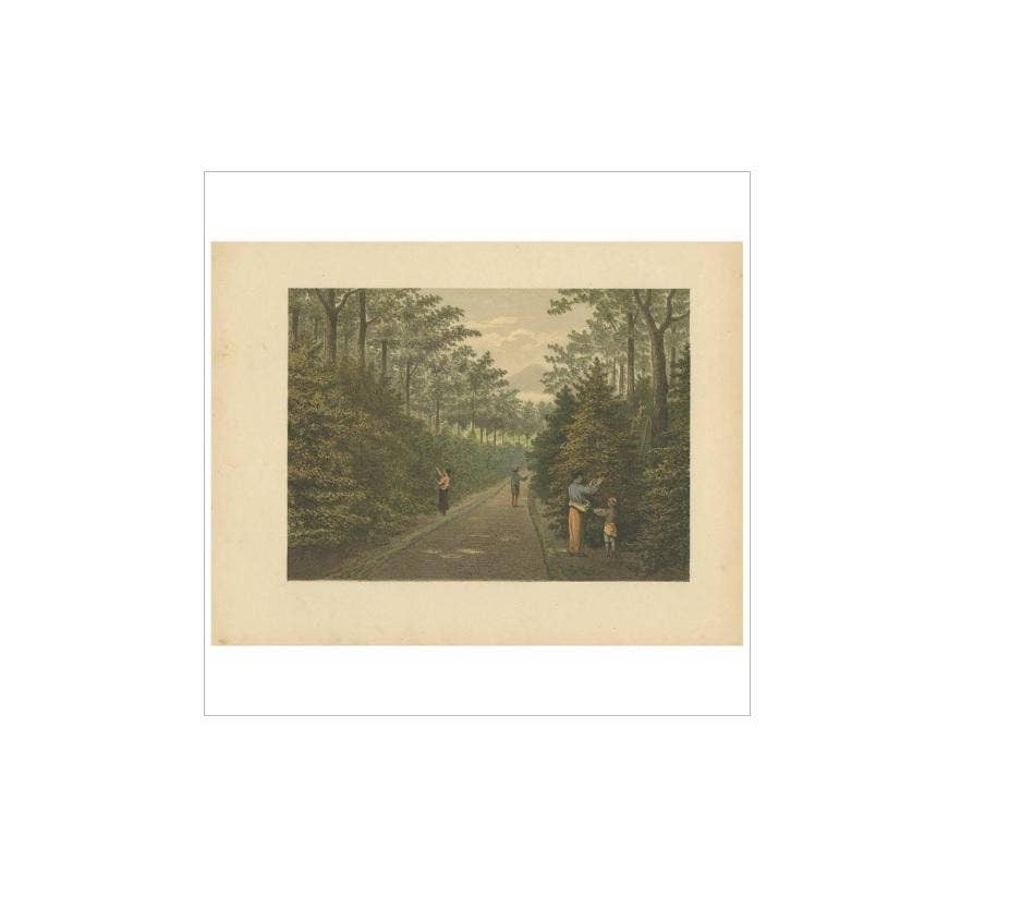 Antique Print of Fruit Farming on Java by M.T.H. Perelaer, 1888