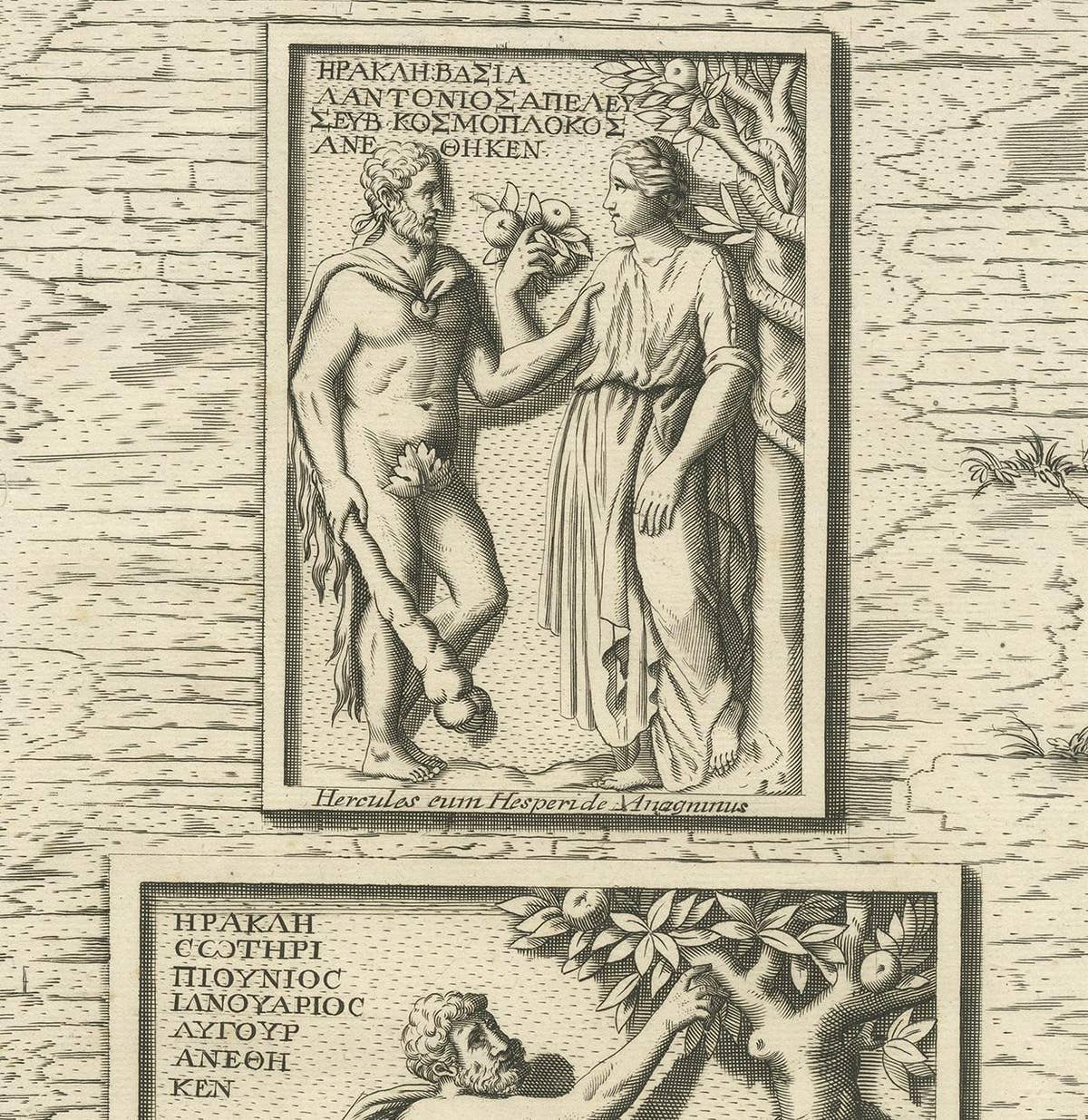 Antique Print of Hercules in the Garden of Hesperides by Volckamer, circa 1710