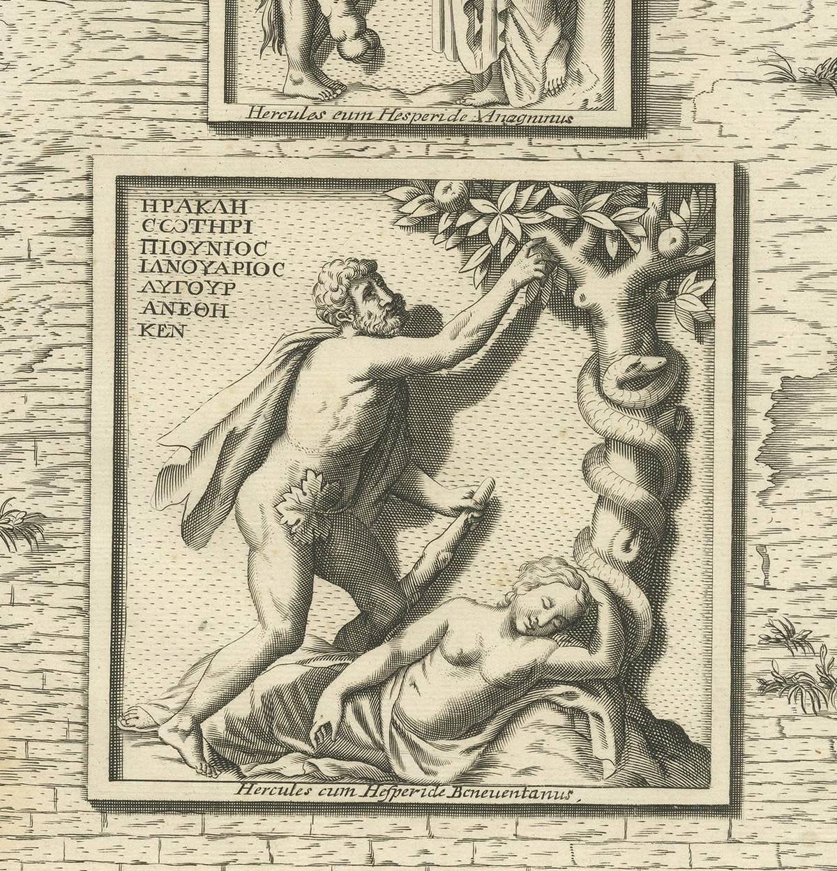 Antique Print of Hercules in the Garden of Hesperides by Volckamer, circa 1710