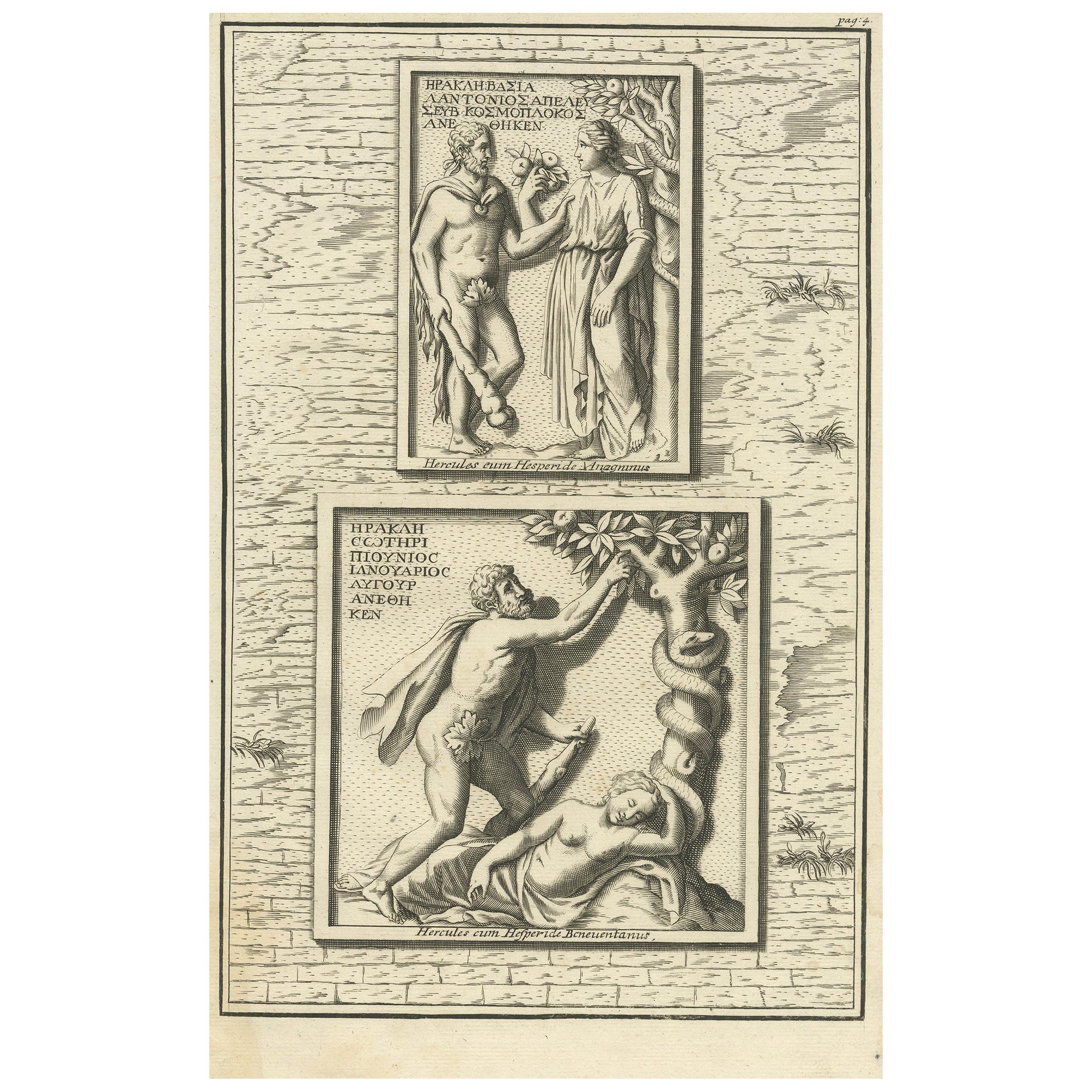 Antique Print of Hercules in the Garden of Hesperides by Volckamer, circa 1710 For Sale