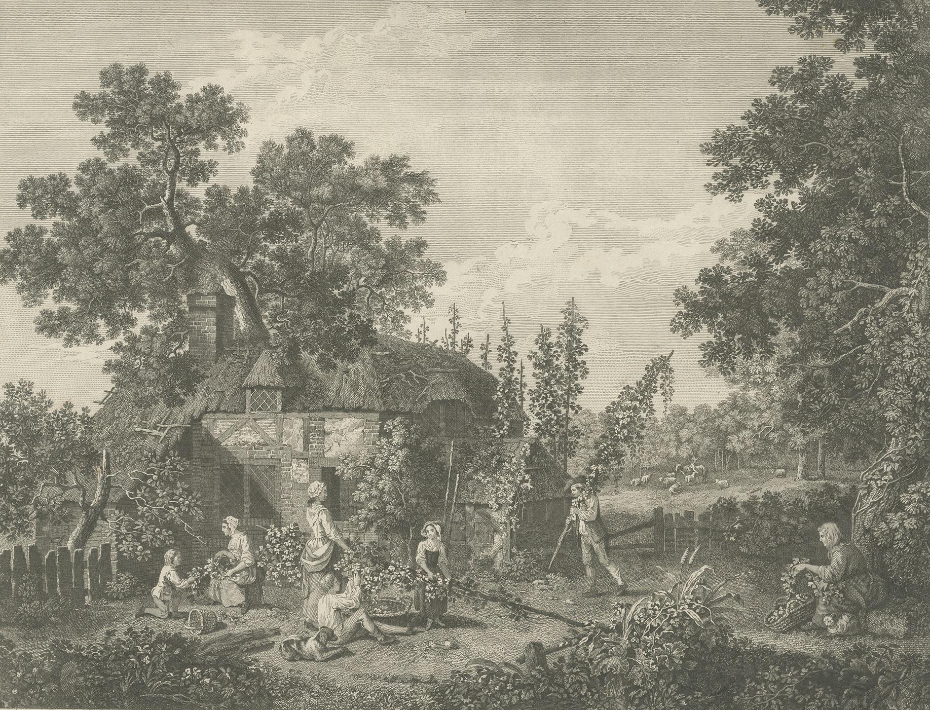 Antique print of hop pickers. It shows a family outside a thatched cottage with casement windows, gathering hops; an elderly woman sitting under a tre to left with a cat, picking hops from a branch and putting them into a basket, a man carrying a