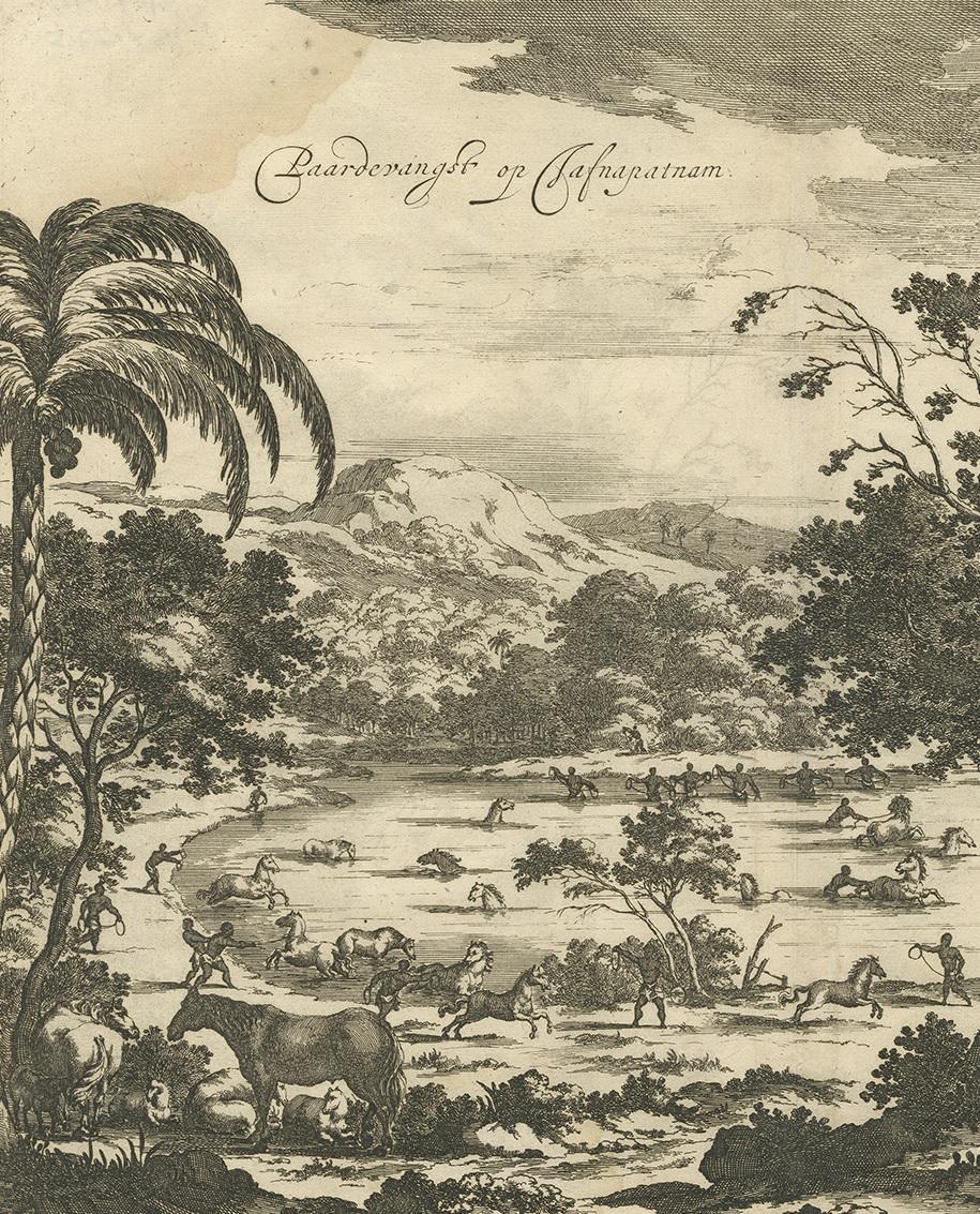 European Antique Print of Horse Catching in Ceylon/Sri Lanka by P. Baldaeus (1672) For Sale